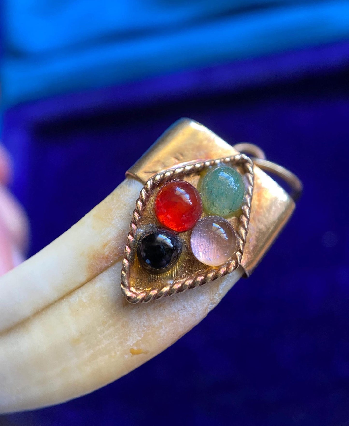 Antique Victorian Animal Tusk Amulet Pendant with Glass Jewel Cabochons in 14k Gold, Hunting Trophy, Talisman, Naturalist, Tooth, Claw, Fang