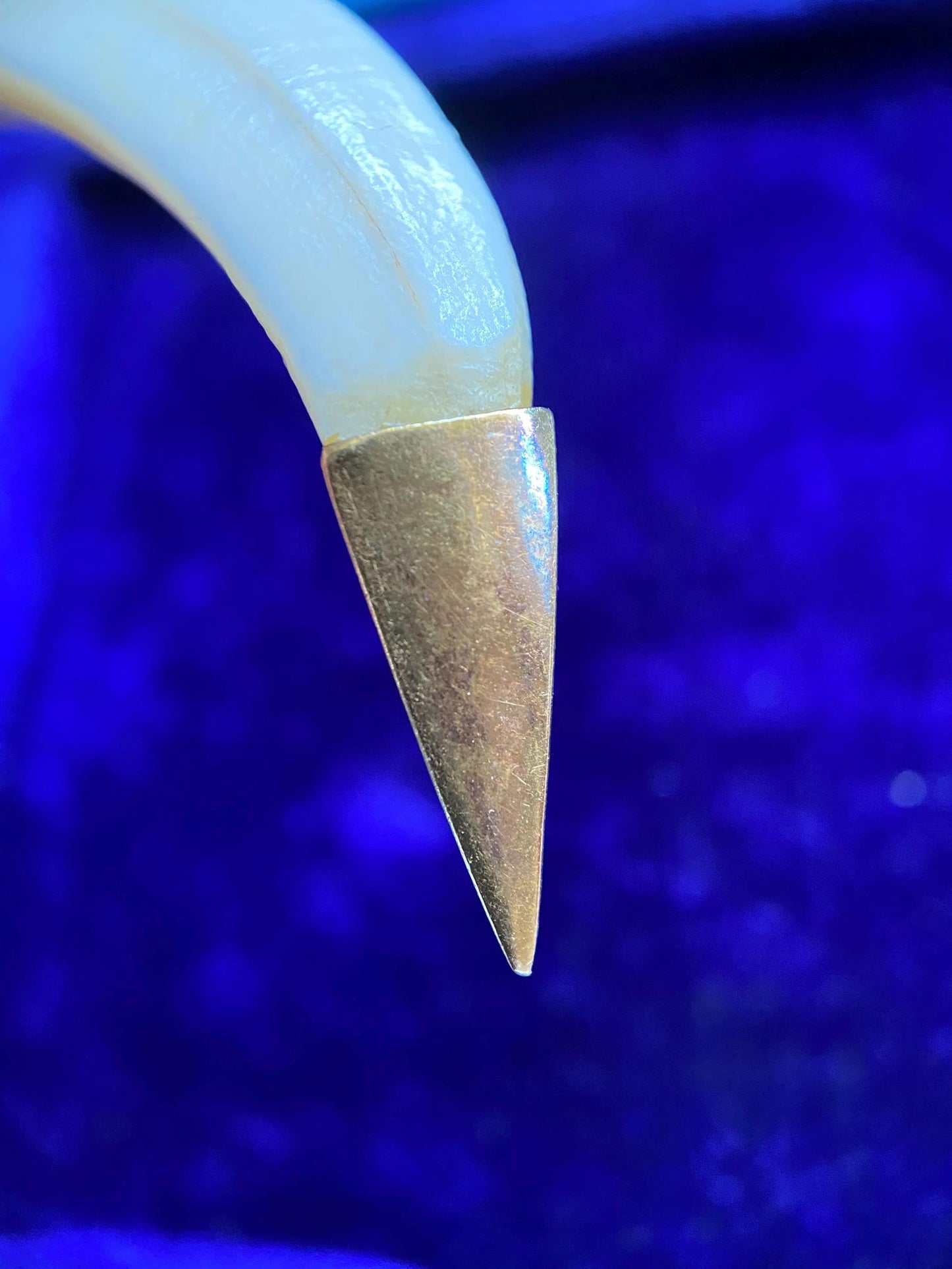 Antique Victorian Animal Tusk Amulet Pendant with Glass Jewel Cabochons in 14k Gold, Hunting Trophy, Talisman, Naturalist, Tooth, Claw, Fang