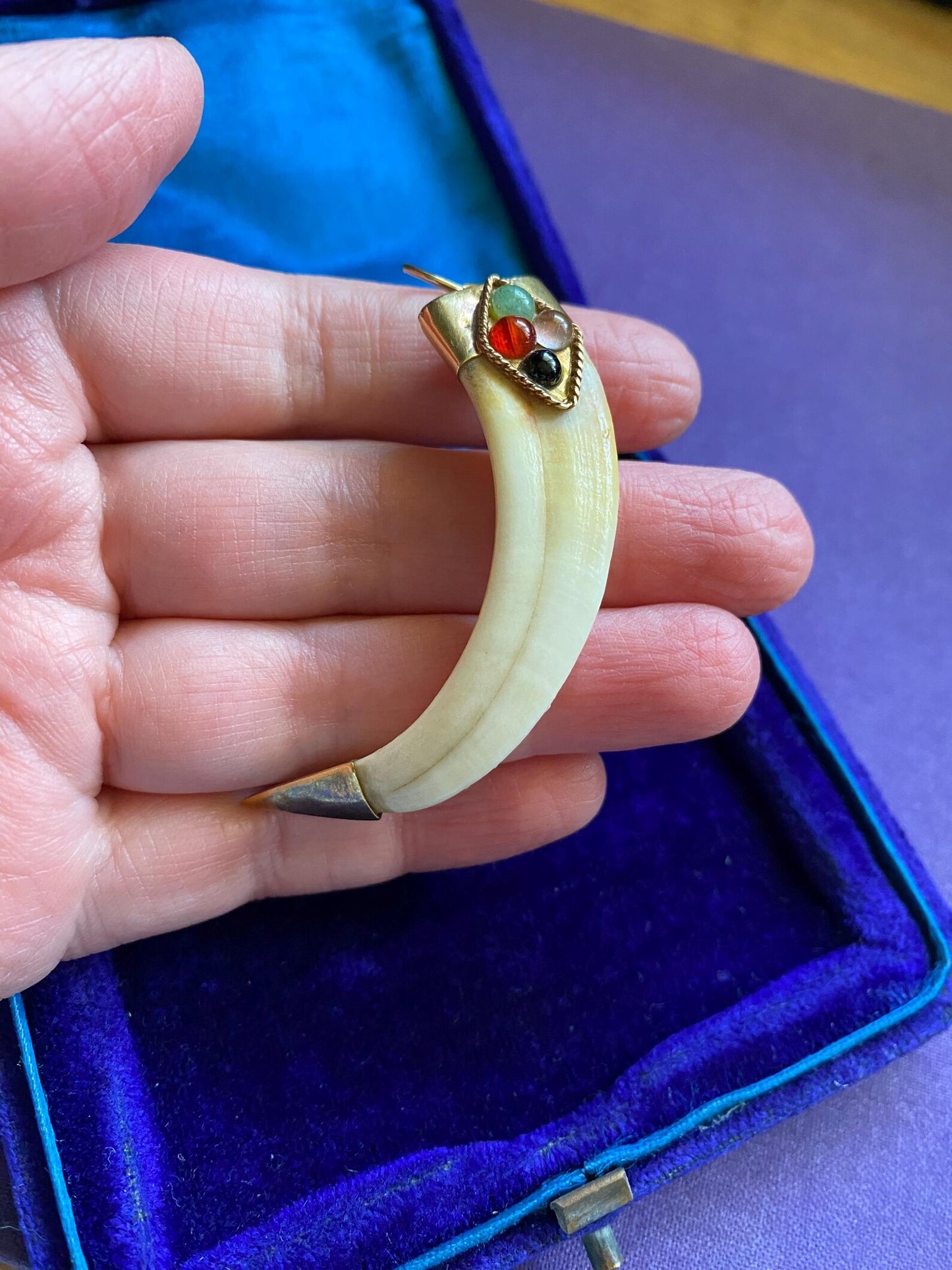 Antique Victorian Animal Tusk Amulet Pendant with Glass Jewel Cabochons in 14k Gold, Hunting Trophy, Talisman, Naturalist, Tooth, Claw, Fang