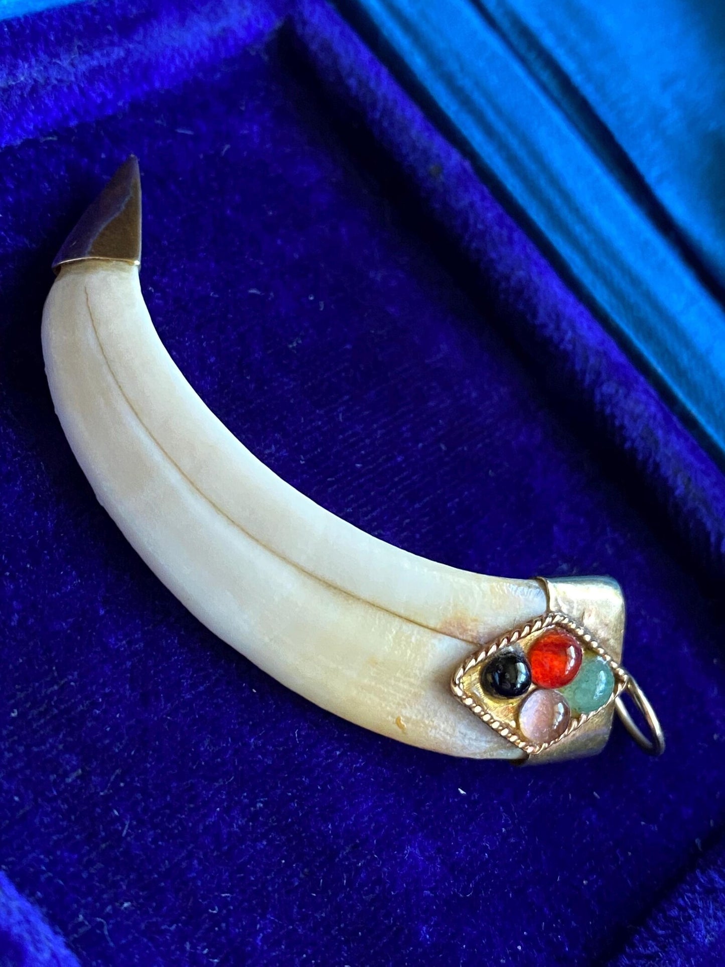 Antique Victorian Animal Tusk Amulet Pendant with Glass Jewel Cabochons in 14k Gold, Hunting Trophy, Talisman, Naturalist, Tooth, Claw, Fang
