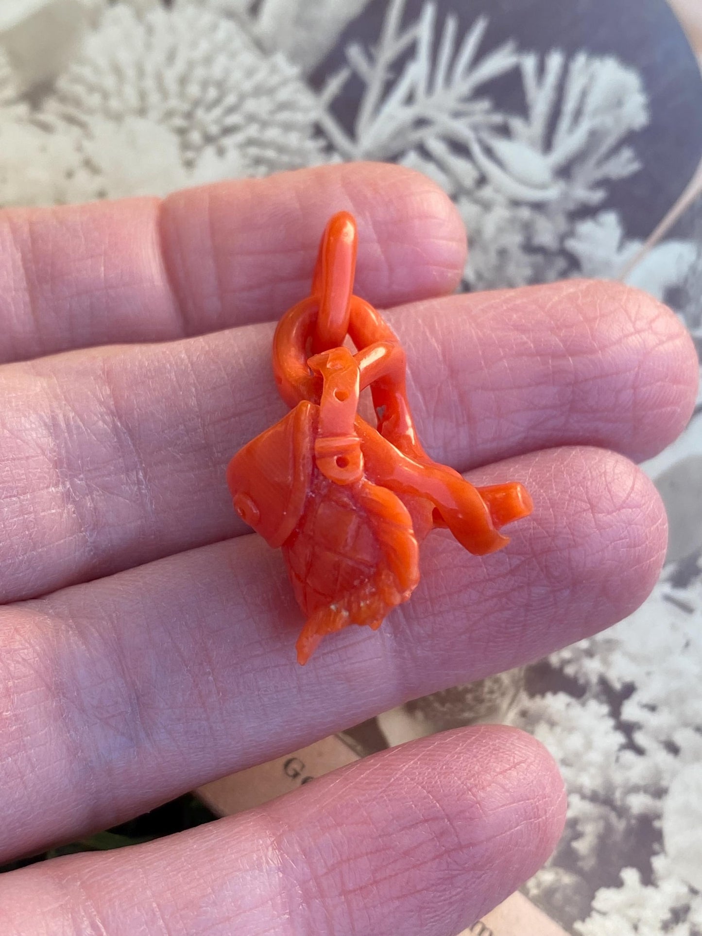 Antique Victorian Italian Fisherman's Basket Pendant of a Single Hand-Carved Piece of Coral Branch c. 1870, Cornicello, Fish, Charm, Lucky, 1800's