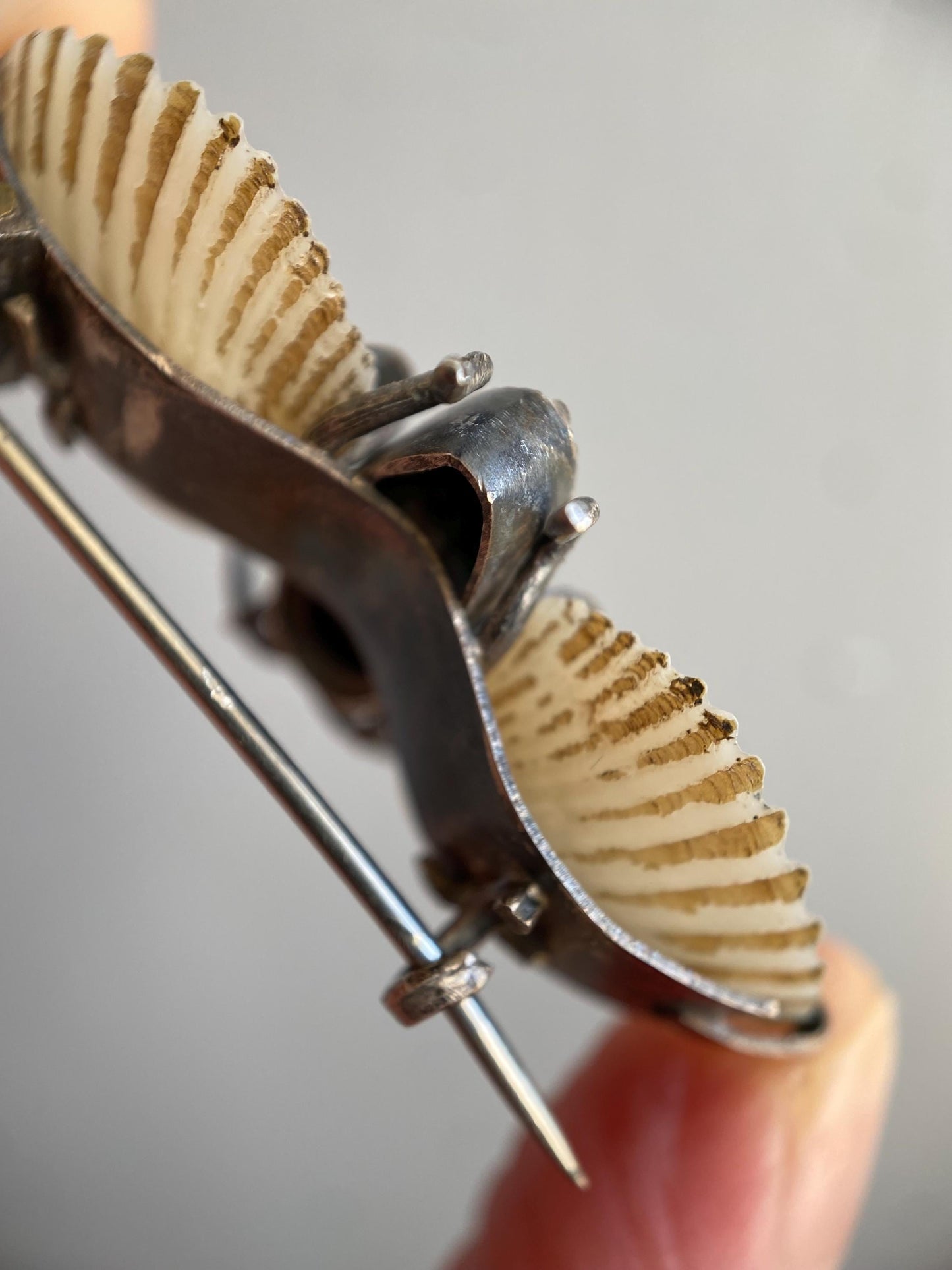 Antique Arts & Crafts Naturalistic Shell and Abalone Butterfly Pin in Silver, Rustic, Folk, Edwardian, Victorian, Art Deco, Pin, Insect, Bug