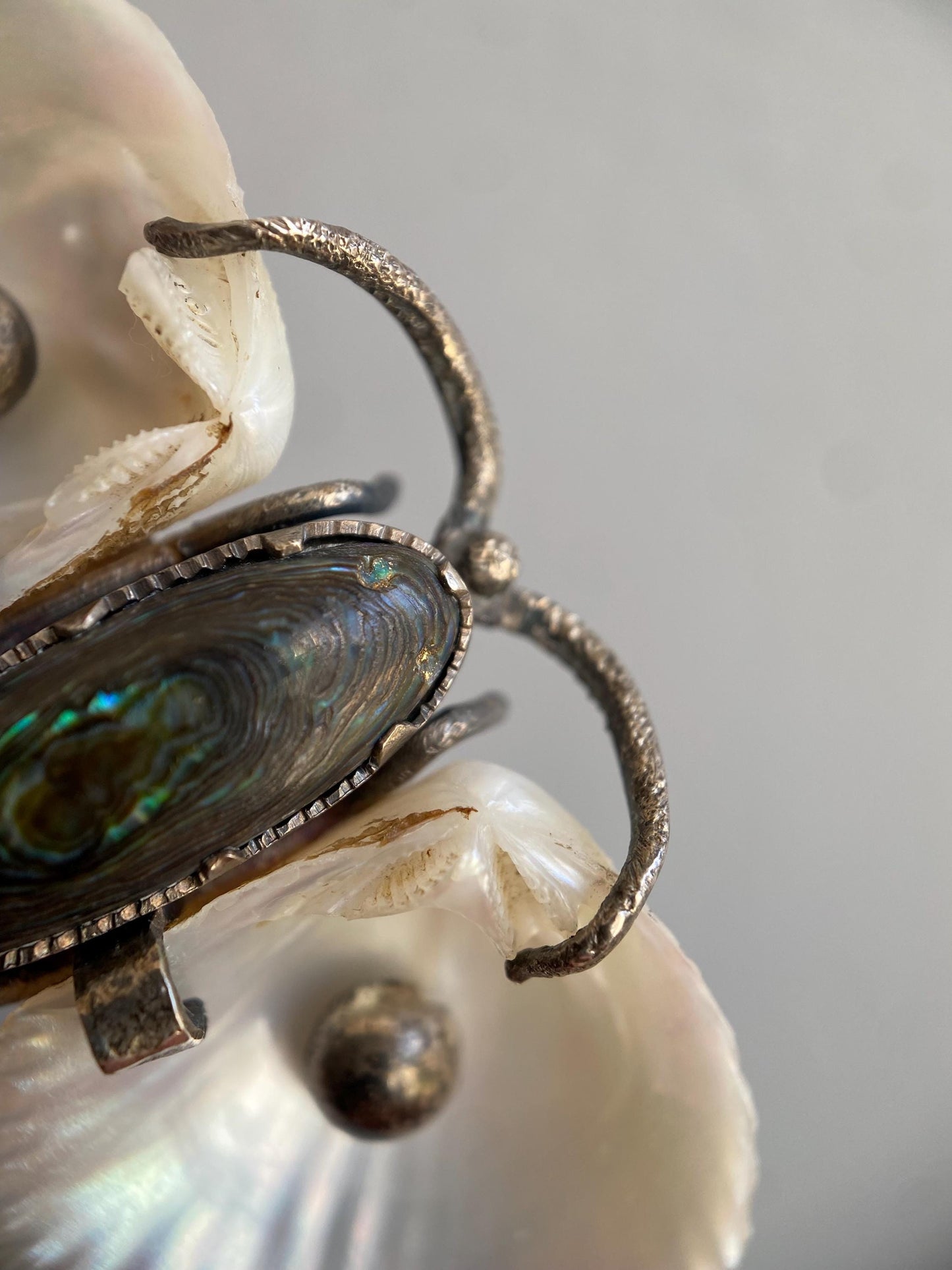 Antique Arts & Crafts Naturalistic Shell and Abalone Butterfly Pin in Silver, Rustic, Folk, Edwardian, Victorian, Art Deco, Pin, Insect, Bug