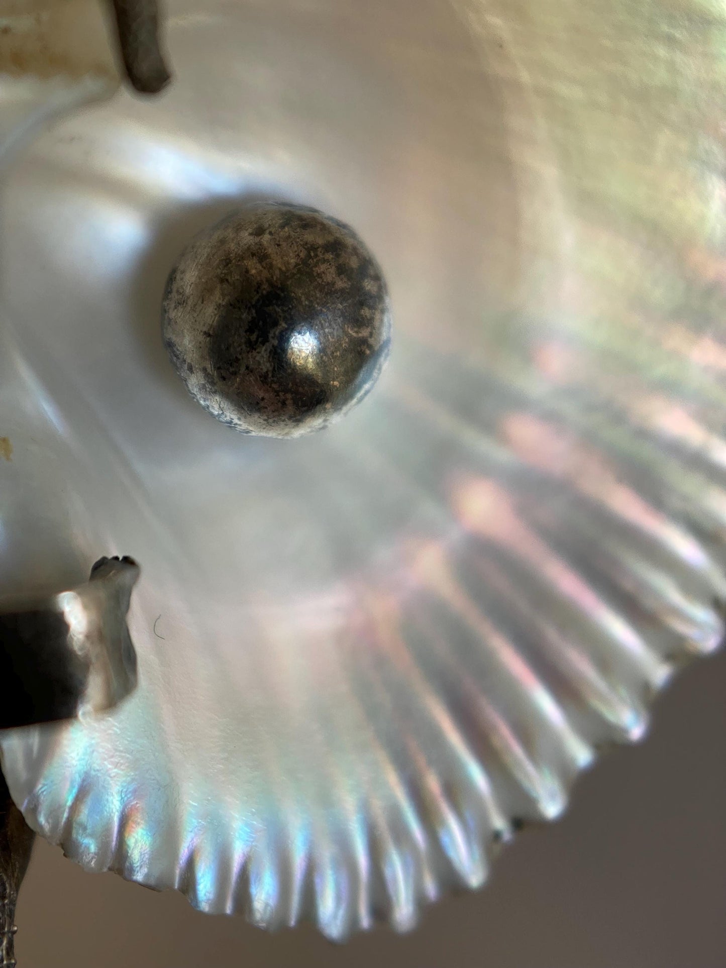 Antique Arts & Crafts Naturalistic Shell and Abalone Butterfly Pin in Silver, Rustic, Folk, Edwardian, Victorian, Art Deco, Pin, Insect, Bug