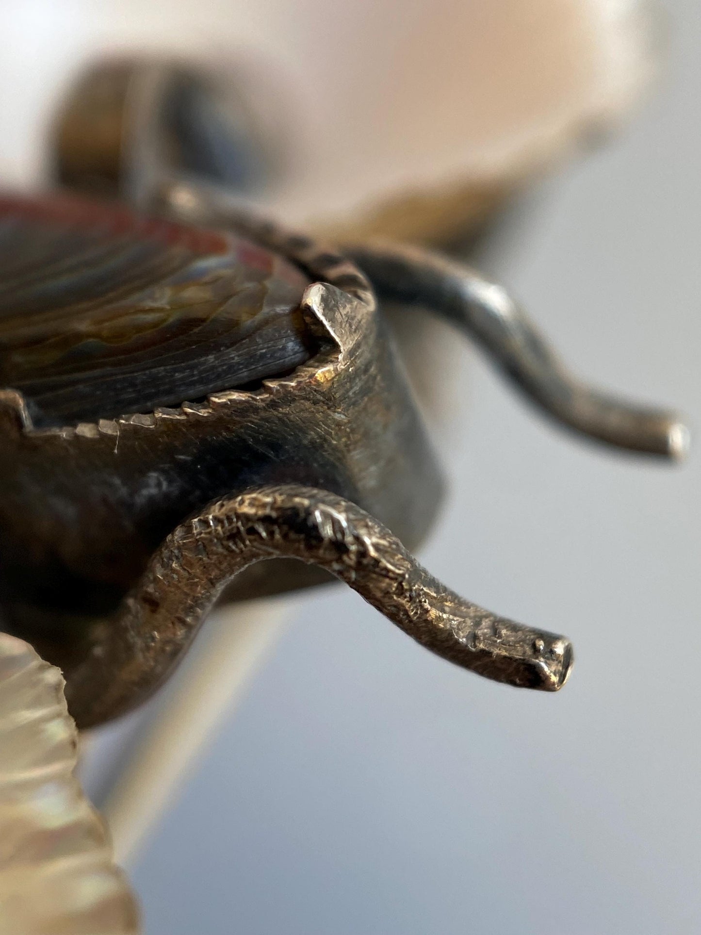 Antique Arts & Crafts Naturalistic Shell and Abalone Butterfly Pin in Silver, Rustic, Folk, Edwardian, Victorian, Art Deco, Pin, Insect, Bug