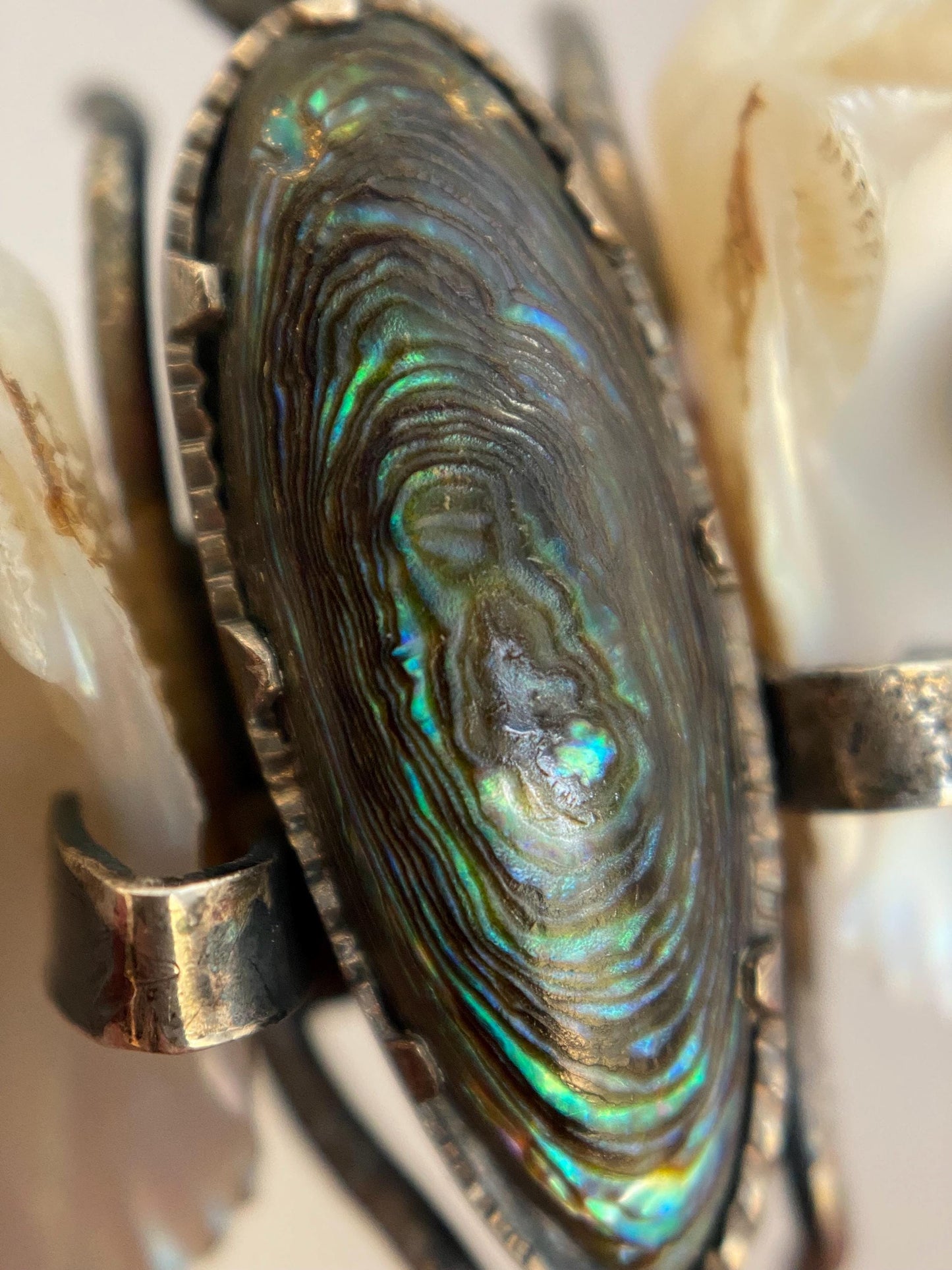 Antique Arts & Crafts Naturalistic Shell and Abalone Butterfly Pin in Silver, Rustic, Folk, Edwardian, Victorian, Art Deco, Pin, Insect, Bug